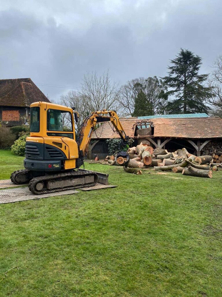 This is a photo of a tree which has grown through the roof of a barn that is being cut down and removed. There is a digger that is removing sections of the tree as well. Godmanchester Tree Surgeons