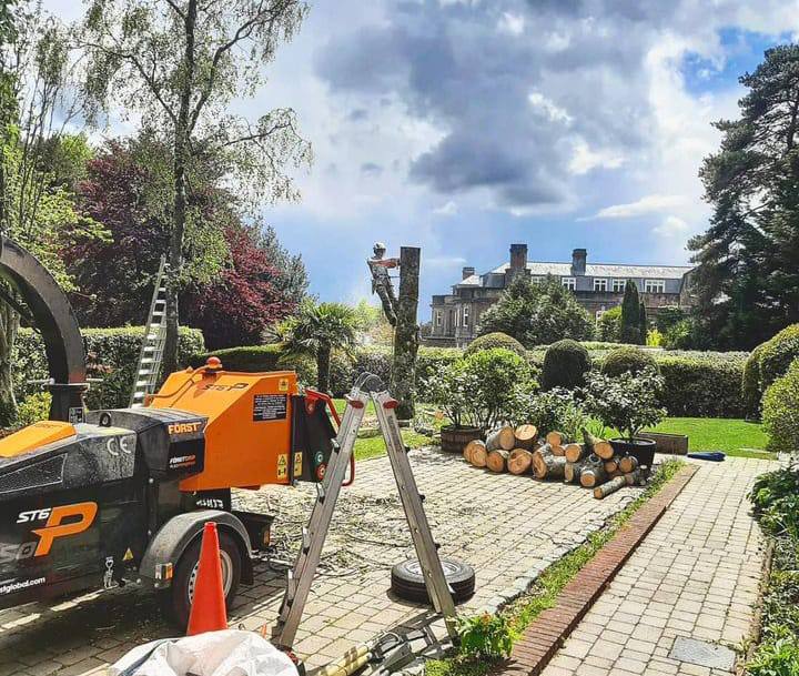 This is a photo of a tree being felled. A tree surgeon is currently removing the last section, the logs are stacked in a pile. Godmanchester Tree Surgeons