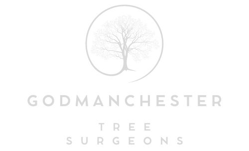 Godmanchester Tree Surgeons